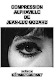 Compression Alphaville de Jean-Luc Godard 1995 one on netflix