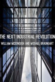 The Next Industrial Revolution 2002 one on netflix