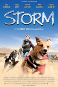 Storm 2009 one on netflix
