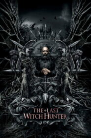 The Last Witch Hunter 2015 one on netflix