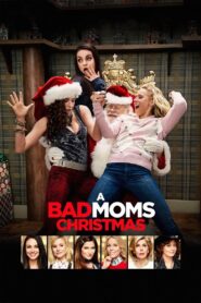 A Bad Moms Christmas 2017 one on netflix