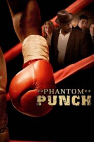 Phantom Punch 2008 one on netflix