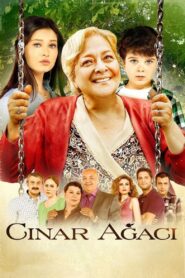 The Plane Tree 2011 one on netflix