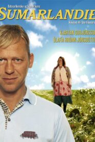 Summerland 2010 one on netflix