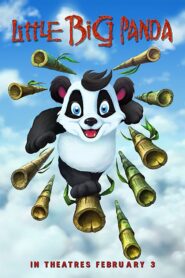 Little Big Panda 2011 one on netflix