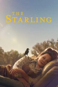 The Starling 2021 one on netflix