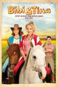 Bibi & Tina 2014 one on netflix