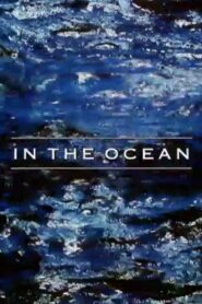 In the Ocean 2001 one on netflix