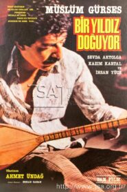 Bir Yıldız Doğuyor 1984 one on netflix
