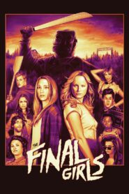 The Final Girls 2015 one on netflix