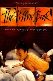 The Pillow Book 1995 one on netflix