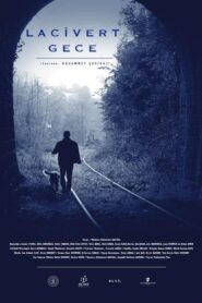 Dark Blue Night 2021 one on netflix