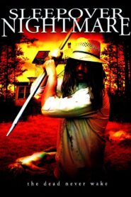 Sleepover Nightmare 2005 one on netflix