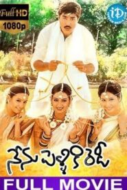Nenu Pelliki Ready 2003 one on netflix