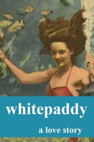 Whitepaddy 2006 one on netflix