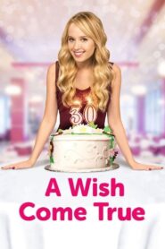A Wish Come True 2015 one on netflix
