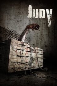 Judy 2014 one on netflix