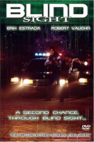 Visions 1998 one on netflix