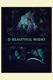 O Beautiful Night 2019 one on netflix