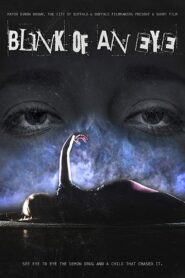 Blink of an Eye 2017 one on netflix