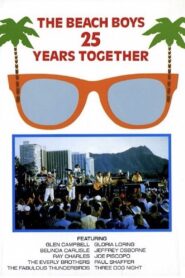 The Beach Boys: 25 Years Together – A Celebration In Waikiki 1987 one on netflix
