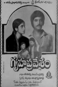 Gruhapravesam 1982 one on netflix