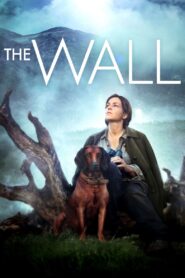 The Wall 2012 one on netflix