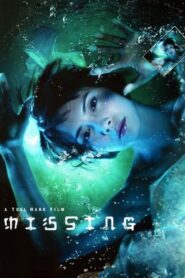 Missing 2008 one on netflix
