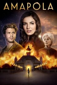 Amapola 2014 one on netflix