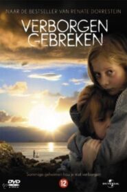 Hidden Flaws 2004 one on netflix