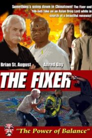 The Fixer 2011 one on netflix