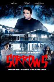 House of Many Sorrows 2020 one on netflix