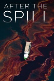 After the Spill 2015 one on netflix