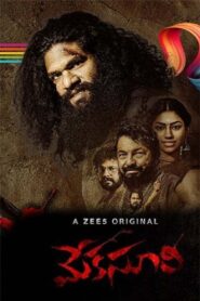 Meka Suri 2 2020 one on netflix