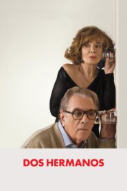 Brother and Sister 2010 one on netflix