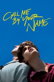 Call Me by Your Name 2017 one on netflix