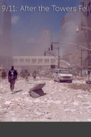 9/11: After The Towers Fell 2010 one on netflix