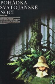 Pohádka svatojánské noci 1982 one on netflix