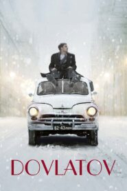 Dovlatov 2018 one on netflix