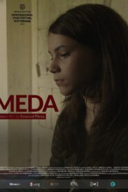 Meda 2016 one on netflix