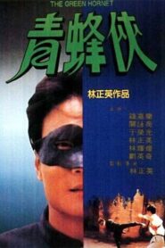 The Green Hornet 1994 one on netflix