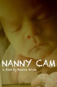 Nanny Cam 2017 one on netflix