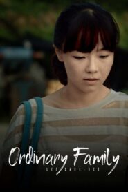 Ordinary Family 2014 one on netflix