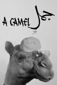 A Camel 1981 one on netflix