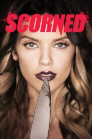 Scorned 2013 one on netflix