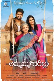 Ammammagarillu 2018 one on netflix