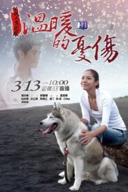 Wen Nuan De You Shang 2011 one on netflix