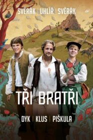 Three Brothers 2014 one on netflix