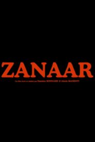 Zanaar 2021 one on netflix