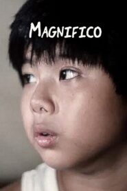 Magnifico 2003 one on netflix
